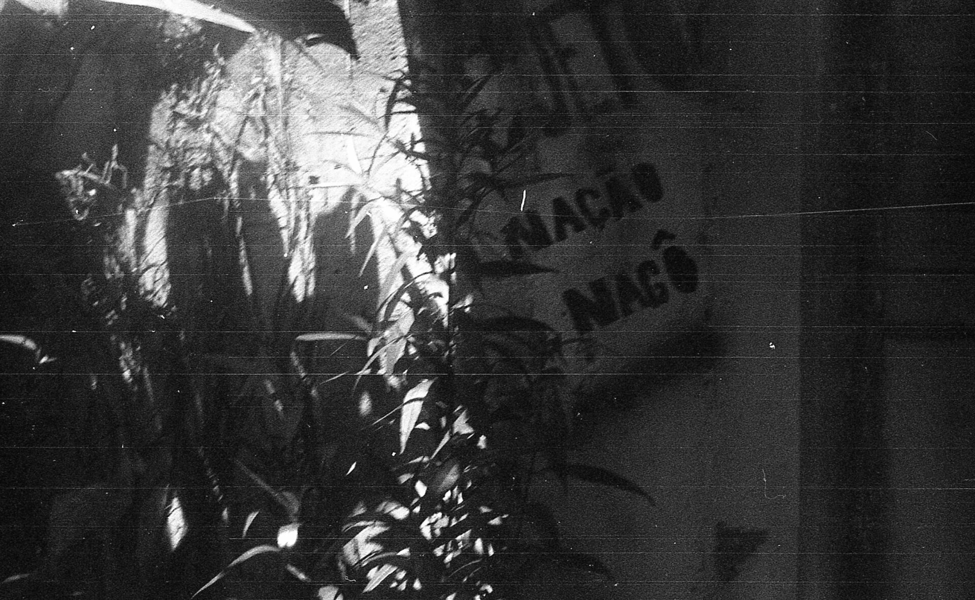 Fotografia do acervo Os quintais de resistência