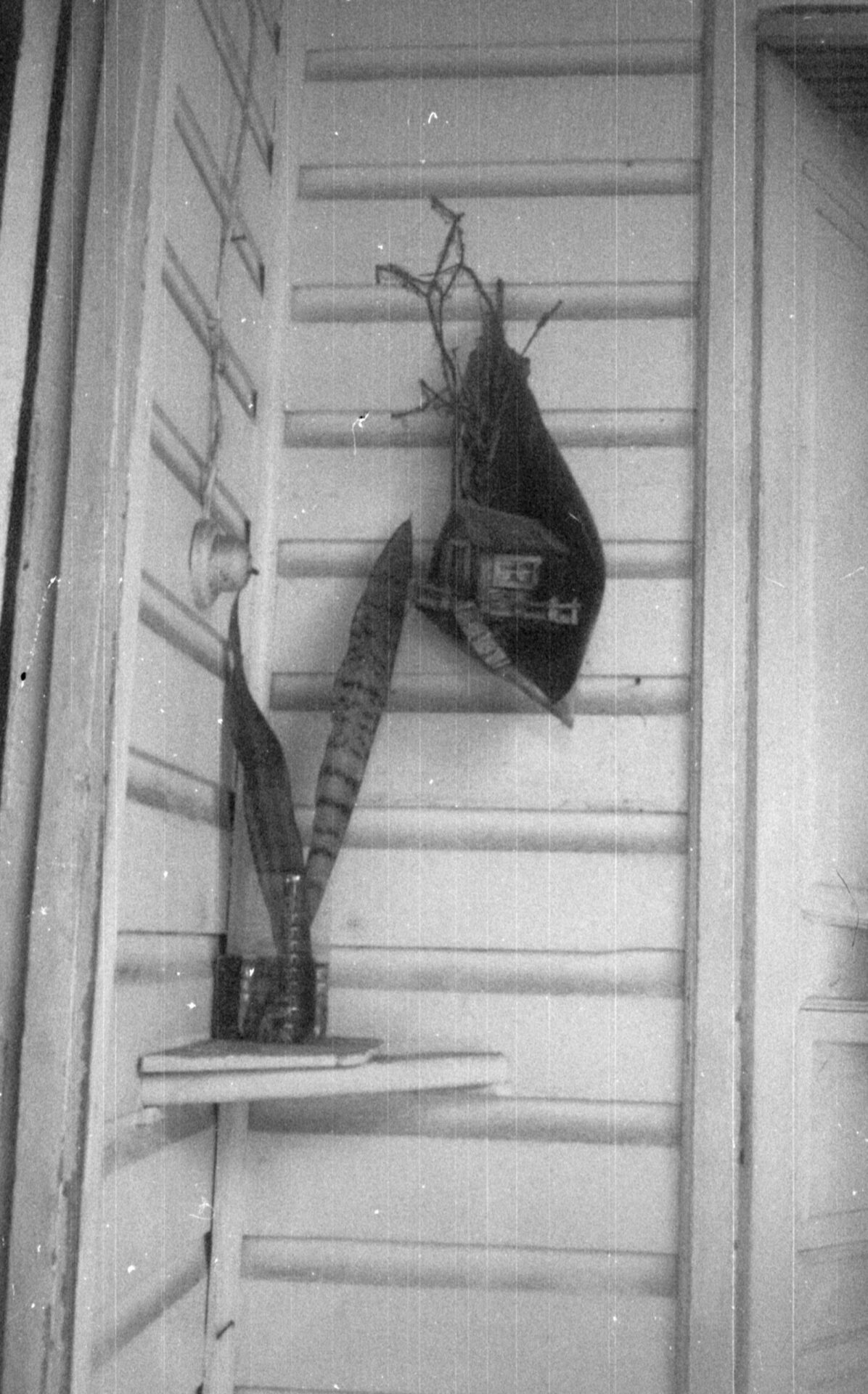 Fotografia do acervo Os quintais de resistência