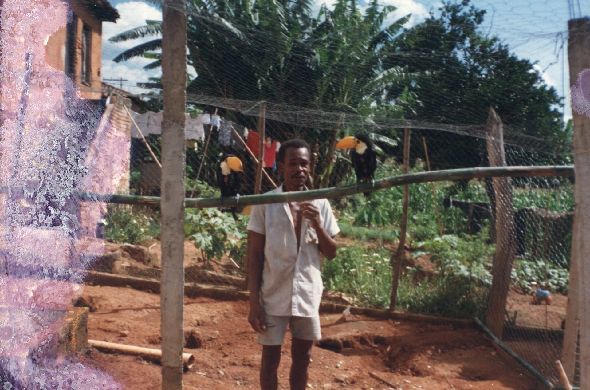 Fotografia do acervo Os quintais de resistência