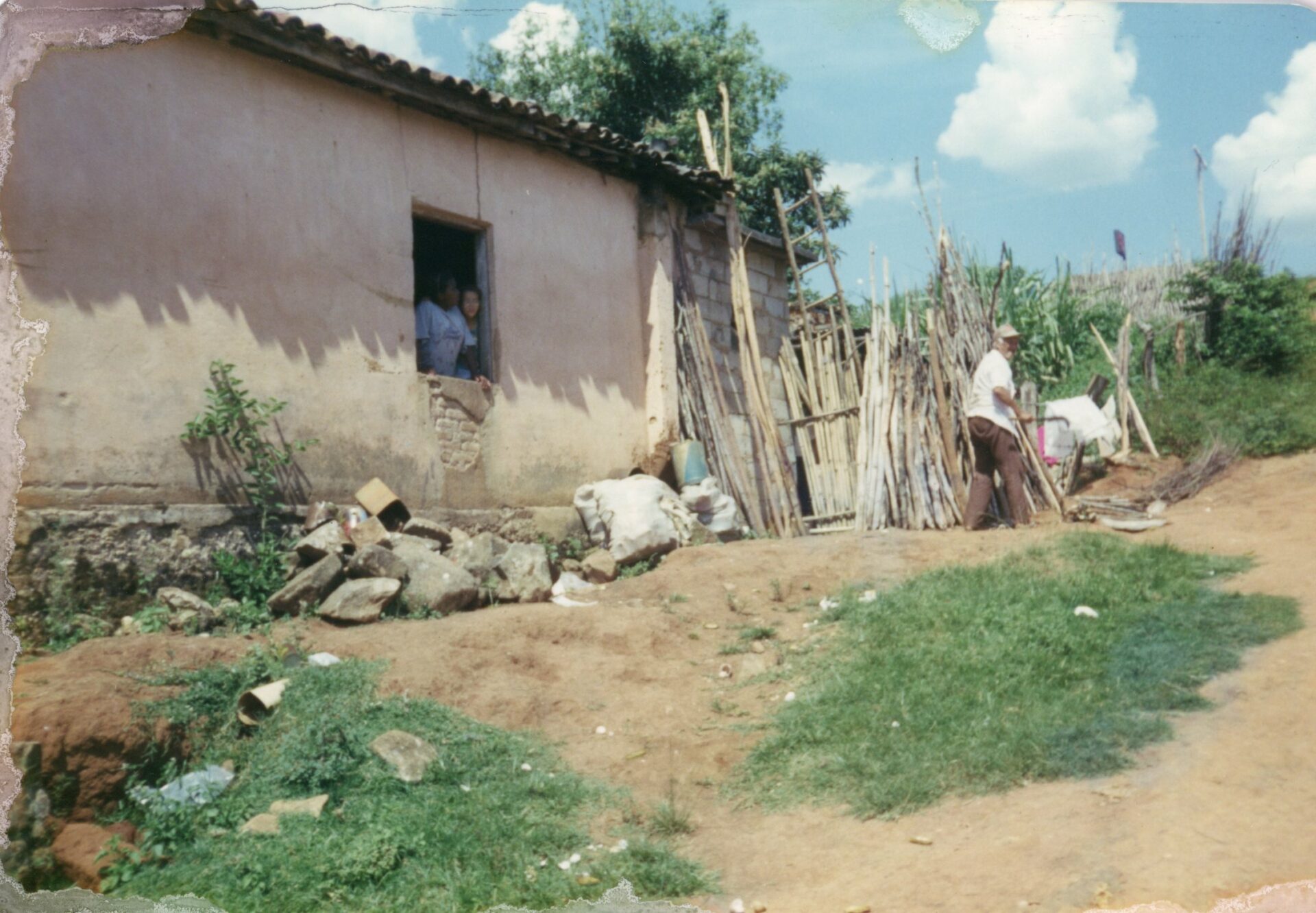 Fotografia do acervo Os quintais de resistência
