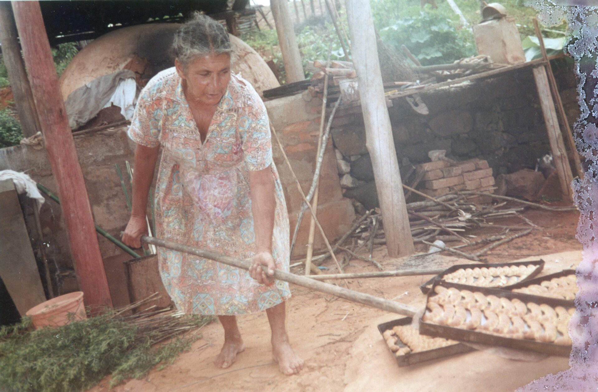 Fotografia do acervo Os quintais de resistência